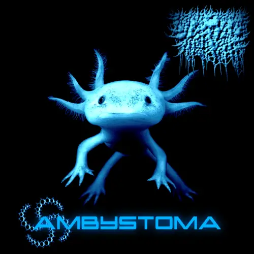 Rotten Maggots : Ambystoma